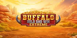 Buffalo Hold and Win Extreme Slots